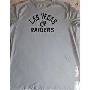 Las Vegas Raiders Fanatics T Shirt  Gray Logo MSRP $40  Sz 4X NWOT